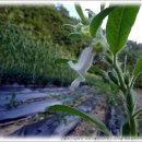 분당노인종합복지관 내 이미지