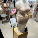 롯데백화점부산본점 마더피아 이미지