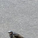 턱편한사랑니치과의원 이미지