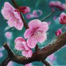 "매화꽃 (Apricot blossom)" 그림 이미지