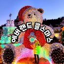 에버랜드+캐리비안베이 29,000원 /라이브 나비체험관/크리스마스/판다월드(할인,주차팁)