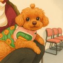 다오동물병원 | 💜[강아지 건강·동물병원 기록] 2달만에 간식 전면금지, 다시 관리모드 시작!