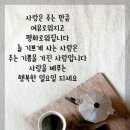 비엔비 이미지