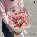도이브 이미지