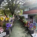 대구애견파크농장 이미지