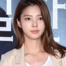 레몬트리 이미지