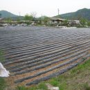 서강농장 이미지