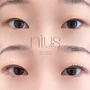 니어스 아이래쉬