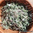 산수황토방 이미지