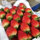 만봉농장 이미지