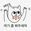 황기순손칼국수대전