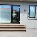 표선달채 이미지