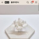 플로라안나 이미지