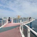 옥계면사무소 | [해파랑길 34코스] 묵호항-논골담길-망상해변 후기