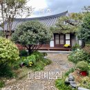 전주 마당예쁜집 네그루 숙박 후기 한옥마을 숙소 게스트하우스