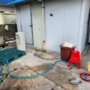 하단동1005 이미지