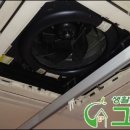 유일당한의원 이미지