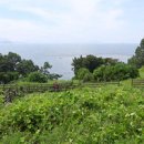 원전도선 선착장 이미지