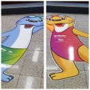 한국팬플룻오카리나강사협회광주지역회 이미지