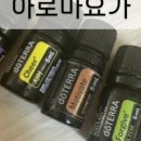 개포요가정