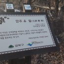 유림-1104 이미지