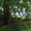 연천학곡리고인돌 이미지