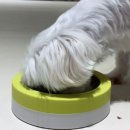 왈왈키친 이미지