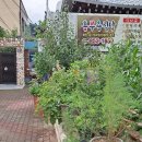 홍부용한식 이미지