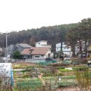 와동1리 이미지