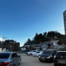 황가네 | 강원도 속초 맛집 <황가네찜> 추천 후기 "입에서 녹는 가오리찜 드셔보셨어요?"