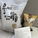 곡성 고향사랑기부제답례품 추천 바라미 현미 맛있음