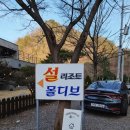 남이섬설리조트4