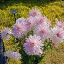 서구청 옥상생태공원 이미지