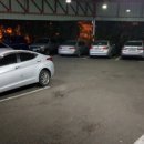 오투탁구장