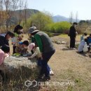 서벽초등학교 이미지