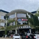 아이비586 이미지