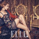 더 엘르(The Elle) 이미지