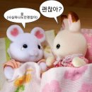 이탈리아 로마 여행일기 (유럽여행 가이드 시점)