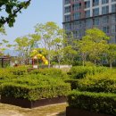 금강누리봄어린이집 이미지