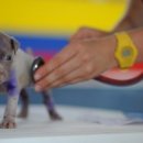 동편동물병원 이미지