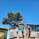 예당관광농원 디에이치(글램핑) 이미지