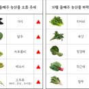 부산유통 이미지
