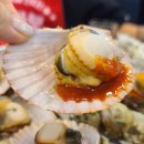 싱싱회관 이미지