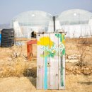 윤주농장 이미지