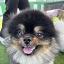 멈무유치원 이미지