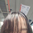 [블챌] 7~8월 일상모음zip