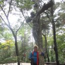 산장광장 이미지