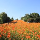 제201회 10월20일 토요일 석촌호수 올림픽공원 들꽃마루길 공지 이미지