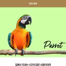 동성육류 이미지