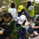 화봉초등학교 이미지